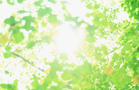 シーリング劣化・塗装の剥がれ・ひび割れを解消するなら、福岡市東区の外壁塗装業者 須河内建設へ